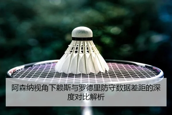 阿森纳视角下赖斯与罗德里防守数据差距的深度对比解析